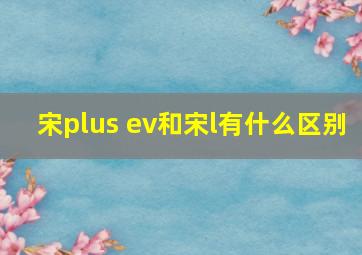 宋plus ev和宋l有什么区别